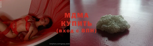 прущие грибы Нягань